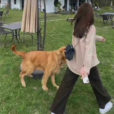 魔女的秘密